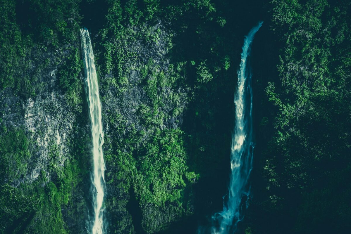 Creek in rainforest